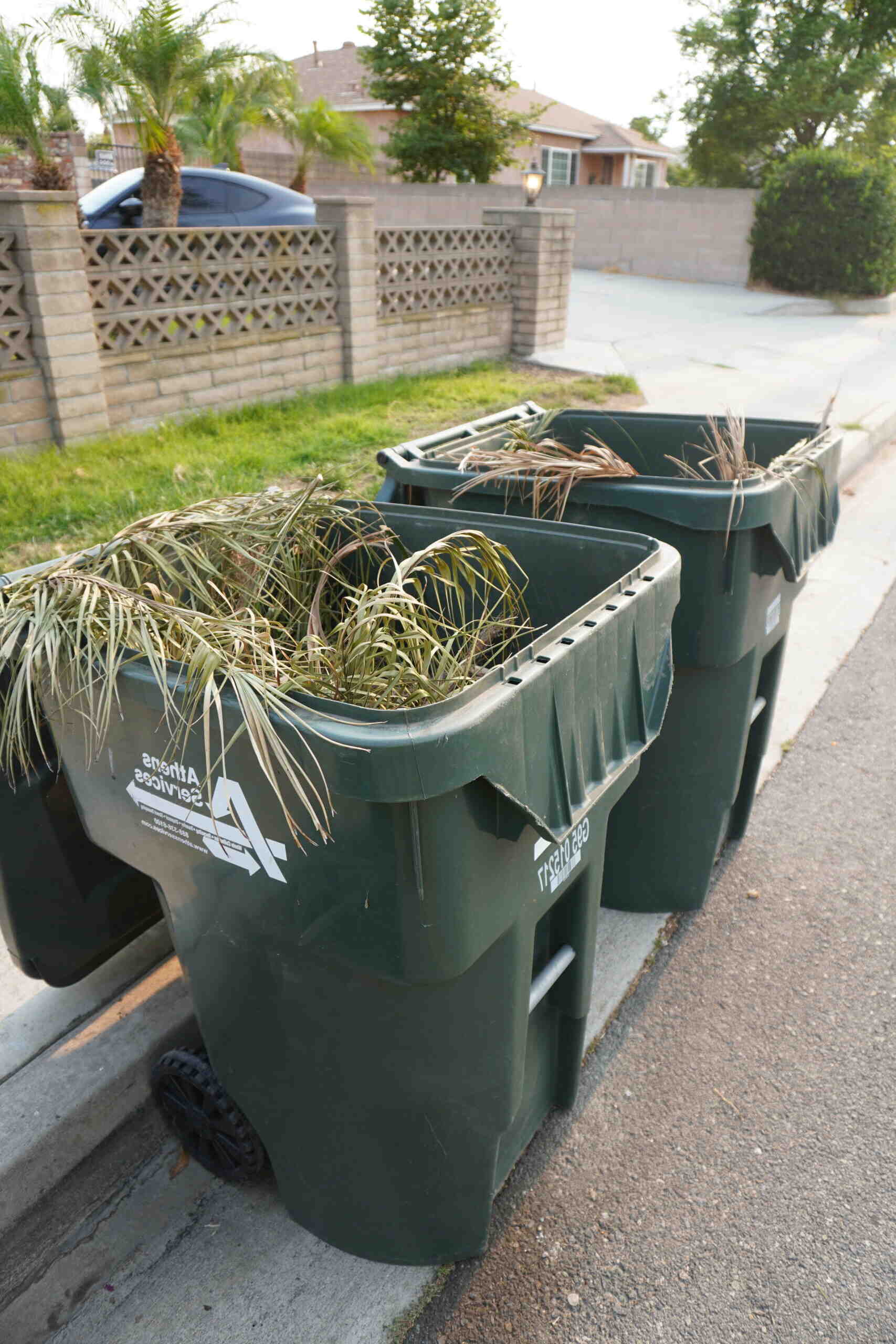 Comment obtenir une poubelle déchets verts ?